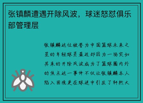 张镇麟遭遇开除风波，球迷怒怼俱乐部管理层